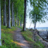 Naldmose Strand Camping
