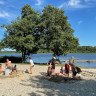 Vammen Camping