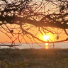 DCU-Flyvesandet Strand Camp