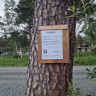 Frilsj&oslash;en Camping