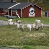 BaseCamp NorthCape