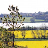 Hertugbyens Camping