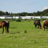 Oasen Rømø Autocamperplads