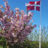 Løkkens Camper Park