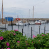 Sj&aelig;llands Odde Havn