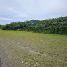 Stauning Havn