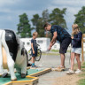 Sveastranda Camping - Minigolf