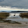 Hamina Camping Pitkäthiekat