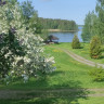 Koivuniemi Camping