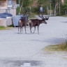 Kilpisjärven Retkeilykeskus Oy