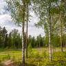 Camping Kiviniemi