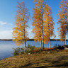 Marjoniemi Camping - Autumn