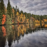 Nature Dream Days
