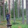 Nature Dream Days