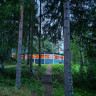 Nature Dream Days