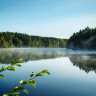 Nature Dream Days