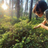 Nature Dream Days