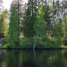 Nature Dream Days