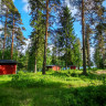 Nature Dream Days