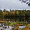Nature Dream Days