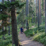 Nature Dream Days