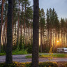 Nature Dream Days