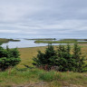 Höfn Camping