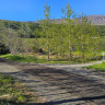 Tunguskogur