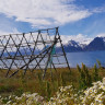 Artic Lyngen Sjøcamp