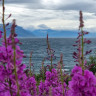 Artic Lyngen Sjøcamp