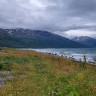 Artic Lyngen Sjøcamp