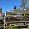 B&auml;lingebadets Camping
