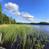 Jyv&auml;skyl&auml; Mets&auml;ranta