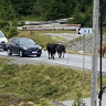 Utvikfjellet Bobilparkering