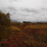 Thingvellir Camping