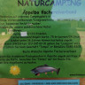 Äppelbo Nature Camping