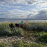 Tiny Seaside &ndash; Skarrev
