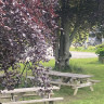 Urke Camping