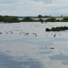 Hornborgasjön