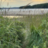 Camping Sandaholm