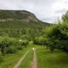 Heggerud Gård og Camping - Blick runter auf die hintere Wiese. 