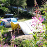 Natur-Camping Langenwald