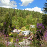 Natur-Camping Langenwald