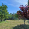 CampingPlatz Ecktannen