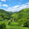 Campingplatz im Waldwinkel
