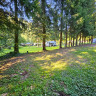 Campingplatz im Waldwinkel