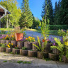 Campingplatz im Waldwinkel