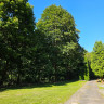 Campingplatz im Waldwinkel
