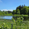 Wildwood Camping Harz