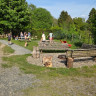 Wildwood Camping Harz
